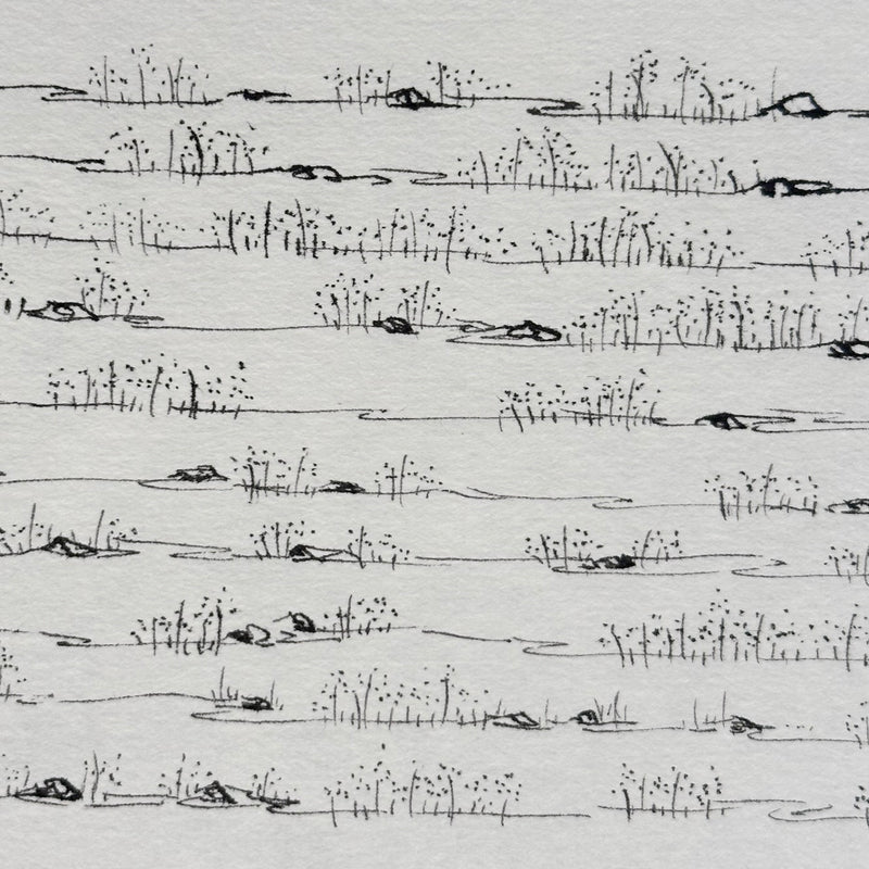 21/50 river flow - ii formula