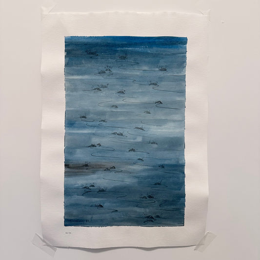 47/50 river flow