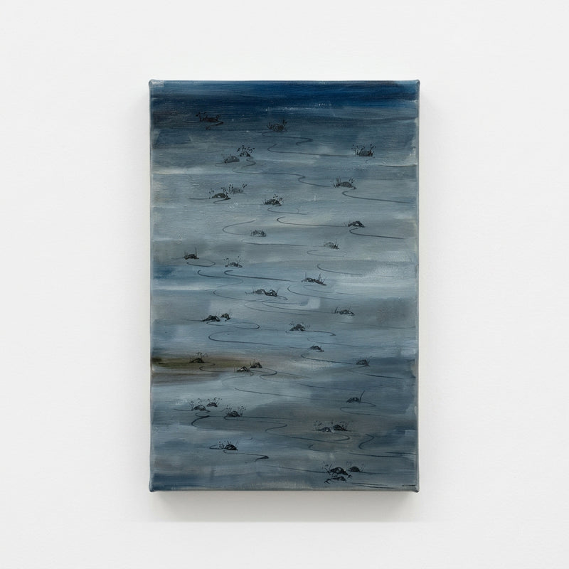 47/50 river flow